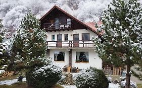 Pensiunea Piatra-Craiului